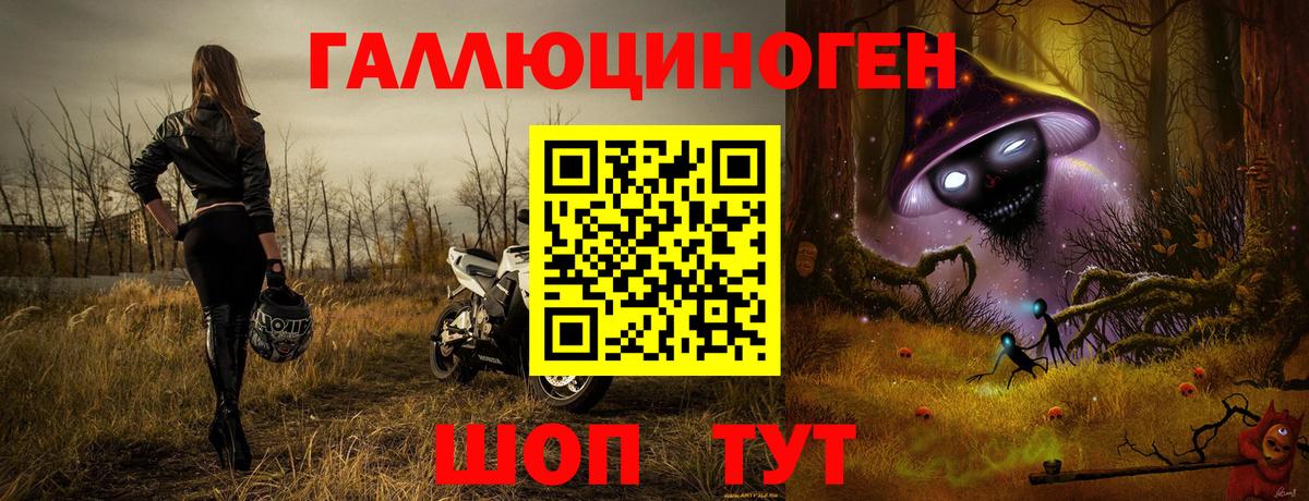 Псилоцибиновые грибы мицелий Ачхой-Мартан
